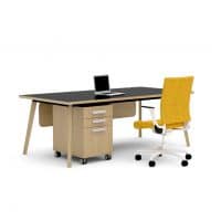 Martin Desk
